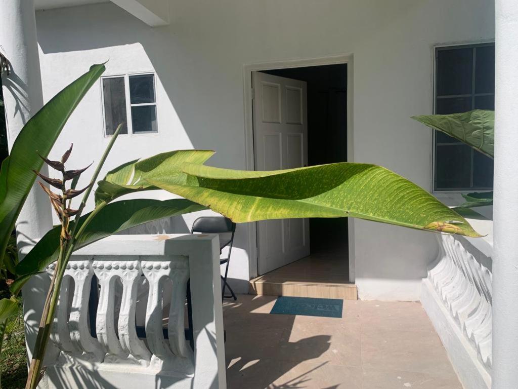 Tha Lagoon Spot Port Antonio Exterior photo